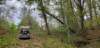 _143515_small.jpg