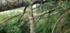 _145127_small.jpg