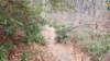 _153227_small.jpg