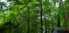 _064934_small.jpg