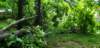 _065123_small.jpg