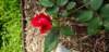 _102109_small.jpg