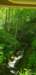 _102915_small.jpg