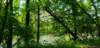 _102941_small.jpg