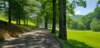 _103521_small.jpg