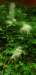_151722_small.jpg