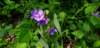 _152514_small.jpg