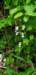 _152546_small.jpg