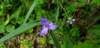 _152602_small.jpg