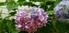 _163034_small.jpg