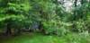 _064605_small.jpg