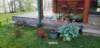 _071601_small.jpg