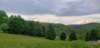 _174152_small.jpg