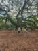 _142838_small.jpg