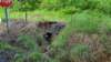 _075705_small.jpg