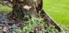_140436_small.jpg