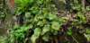 _141857_small.jpg