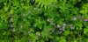 _142345_small.jpg