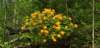 _160904_small.jpg