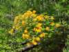 _160937_small.jpg