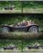 buggy_3_small.jpg