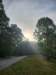 _073739_small.jpg