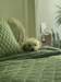_084345_small.jpg
