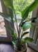 _155946_small.jpg
