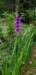 _134417_small.jpg
