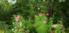 _163619_small.jpg