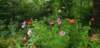 _163629_small.jpg