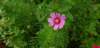 _163635_small.jpg