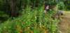_163705_small.jpg