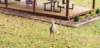 _173641_small.jpg