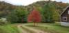 _173923_small.jpg