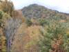 img_20231015_112339026_small.jpg