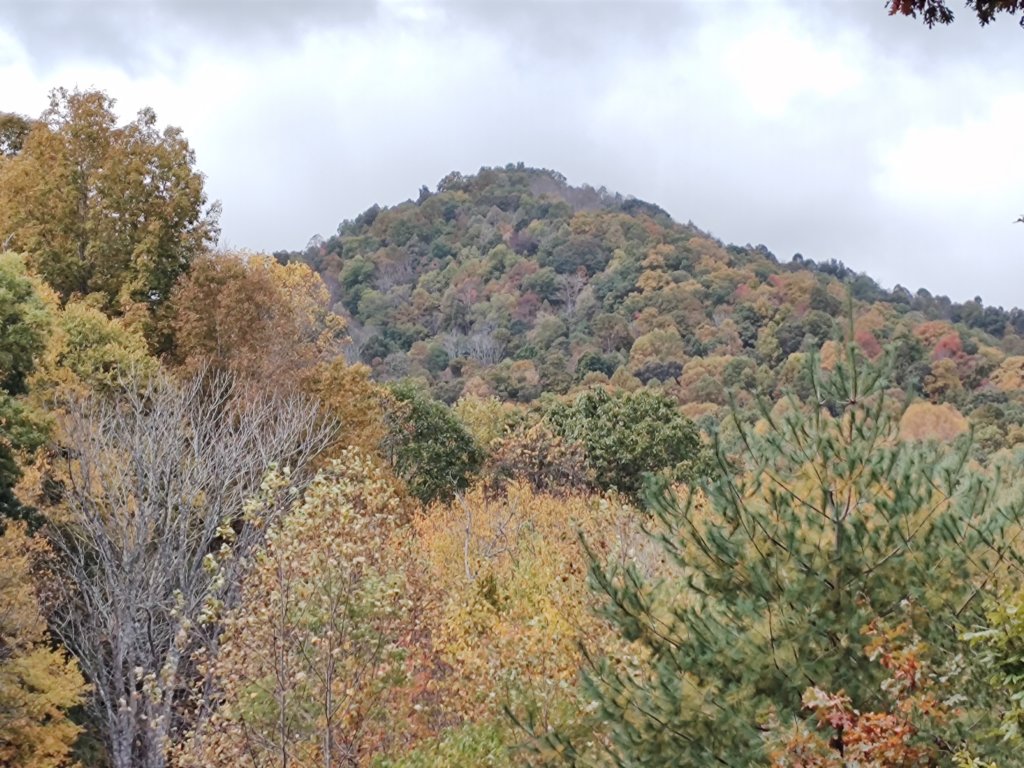 img_20231015_112339554.jpg
