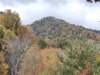 img_20231015_112339554_small.jpg