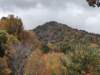 img_20231015_112342669_small.jpg