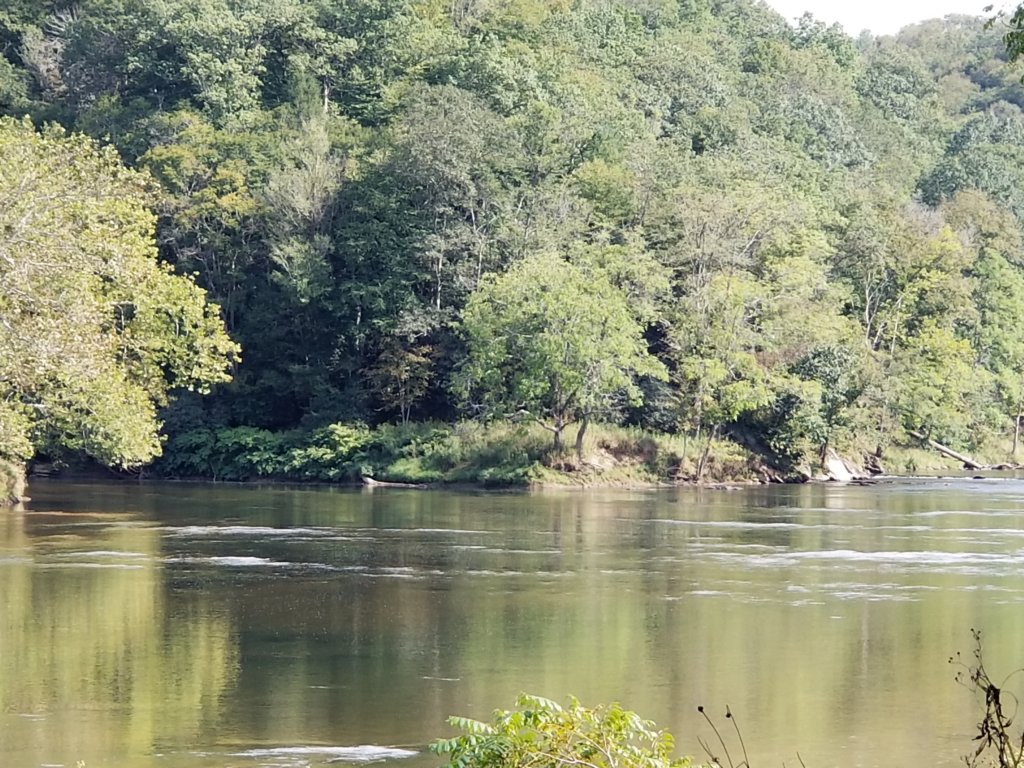 _152959.jpg