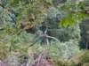 img_20190807_195249437_small.jpg