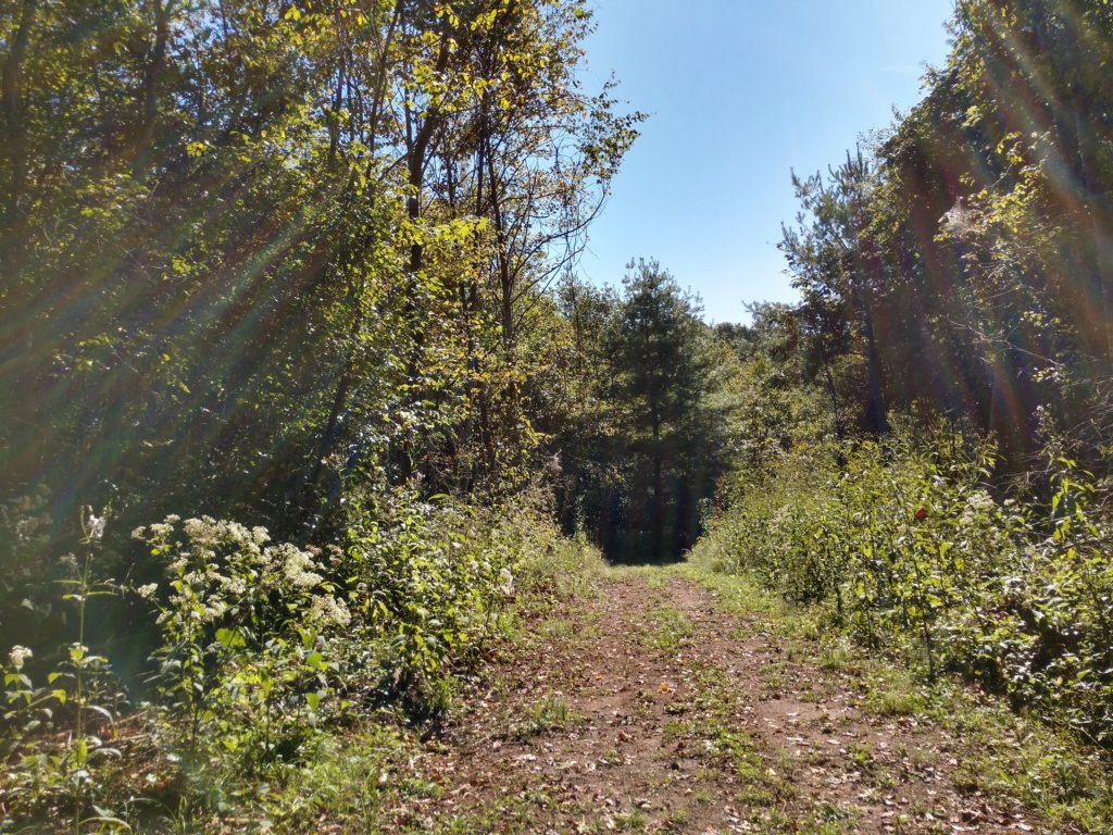 img_20190915_110324107_hdr.jpg