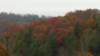 _135326_small.jpg