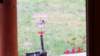 _072134_small.jpg