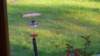 _072245_small.jpg