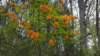 _110405_small.jpg