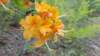 _110448_small.jpg