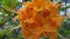 _110548_small.jpg