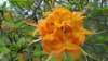 _110607_small.jpg