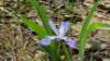 _121655_small.jpg